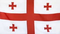 Georgia Flag Real Fabric