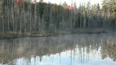 Trees And Mist On The Lake