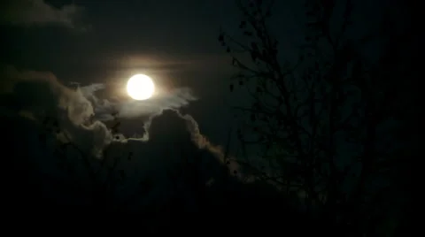 Moon at Night