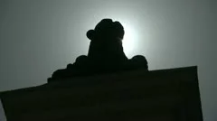 Timelapse Statue In The Sun