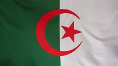 Algeria Flag Real Fabric Close Up 4K