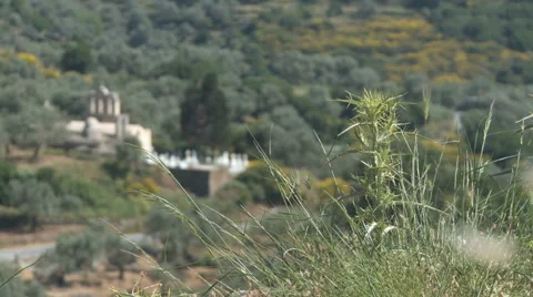 Ruins In Naxos