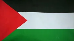 Slowmotion Real Textile Flag Of State Of Palestine