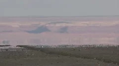 Highway Heat Haze