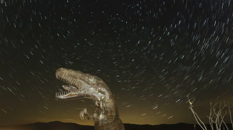Time Lapse Close Up Of Dinosaur With Startrails