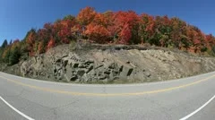 Fall Colors Highway Fisheye