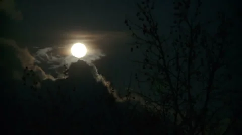 Moon at Night
