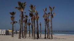 Tel Aviv Beach Palm Trees