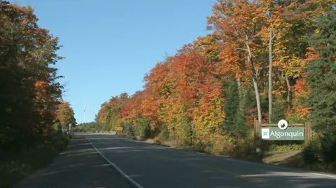 Fall Colors Highway