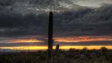 HDR Timelapse Sunset Arizona Cactus
