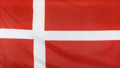 Denmark Flag Real Fabric