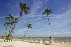 Tropical Beach