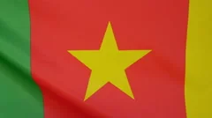 Cameroon Flag Real Fabric Close Up 4K