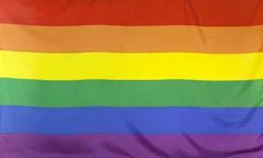 Rainbow Flag Real Fabric