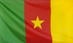 Cameroon Flag Real Fabric