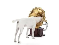 Jack Russell Terrier