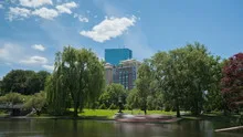 Time lapse Boston Public Garden
