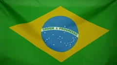 Slowmotion Real Textile Flag Of Brasil