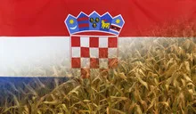 Croatia Nutrition Concept Corn field with fabric Flag