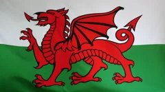Wales Flag Real Fabric Close Up 4K