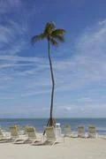 Tropical Beach