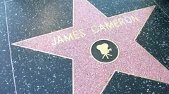Walk Of Fame James Cameron And Mel Brooks