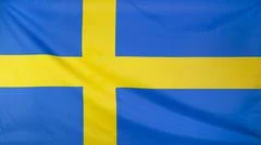 Sweden Flag Real Fabric