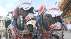 Decorated Oktoberfest Horses