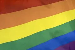 Rainbow Flag Real Fabric