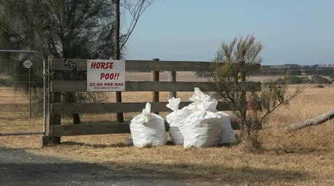 Horse Poo