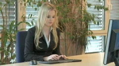 Blonde Business Woman At A Computer