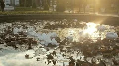 Fountain With Reflections