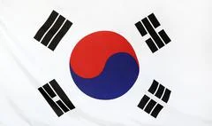 South Korea Flag Real Fabric