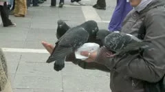 Feeding Pigeons On St. Mark'S Square In Venice