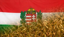 Hungary Coat of Arms Nutrition Concept Corn field with fabric Flag
