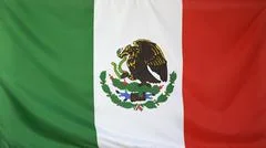 Mexico Flag Real Fabric