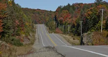 Highway with colorful maple leaves