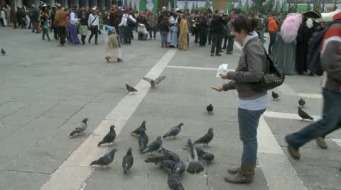 Feeding Pigeons On St. Mark'S Square In Venice
