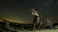 4K Fisheye Time Lapse Medium Close Up Of Dinosaur With Startrails