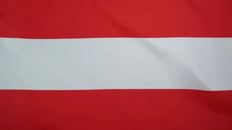 Austrian Flag Real Fabric Close Up 4K