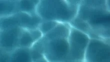 Swimming Pool Sunshine Defocus
