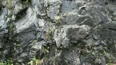 Water At Stone Wall
