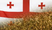 Georgia Nutrition Concept Corn field with fabric Flag
