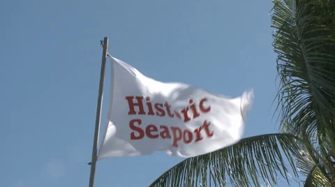 Historic Seaport Flag