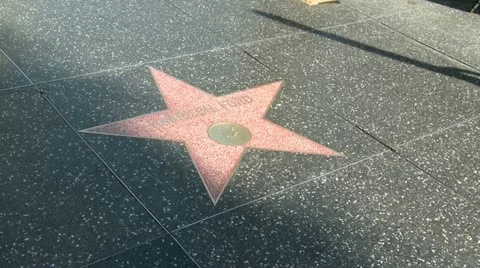 Walk Of Fame Harrison Ford