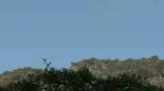 Hollywood Sign