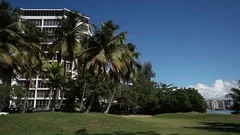 Skyscraper And Palms