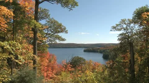 Autumn Colorful Foliage