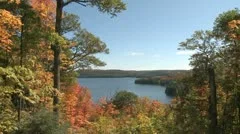 Autumn Colorful Foliage