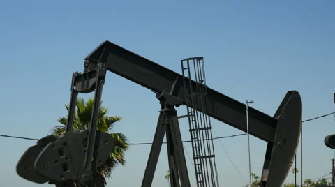 Working Oil Pump